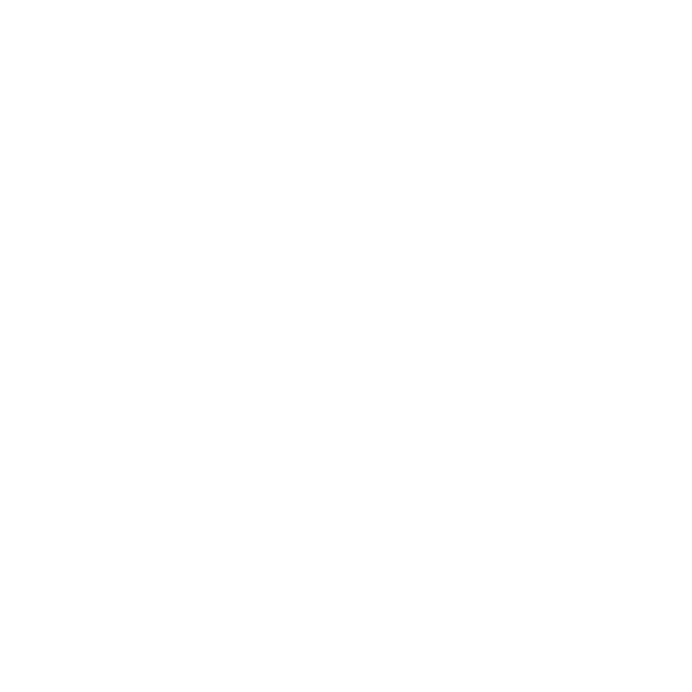 Partner logo 2